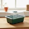 12 Starter Tray High SeeThrough Lid Seedling Kit Clear View Design with