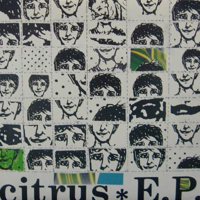 

7inch Record CITRUS E.P. PAD10 VINYL JAPANVI 1993 UK Rock Used