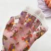 Women's Socks Thin Summer New Novelty Color Fashion Ladies Transparent Socks Breathable Korean Style Girls Flower Socks Modern