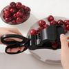 Black Red Cherry Pitter ABS Cherry Core Stoner Time Saving Cherry Pit Remover  Kitchen Cake Shop