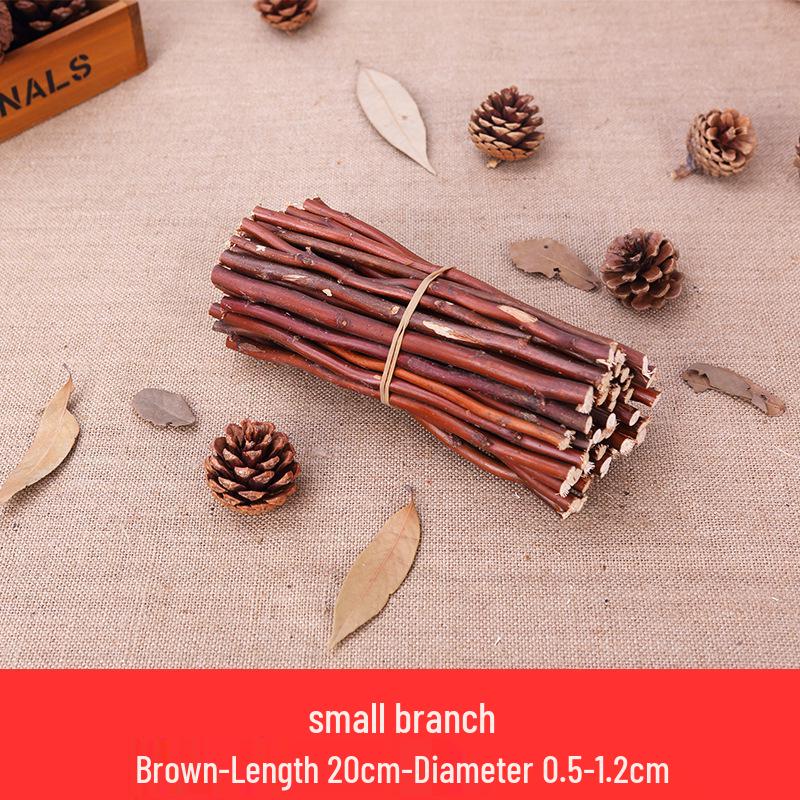 Wood Chips & Tree Slices Activity Kit for Kindergarten