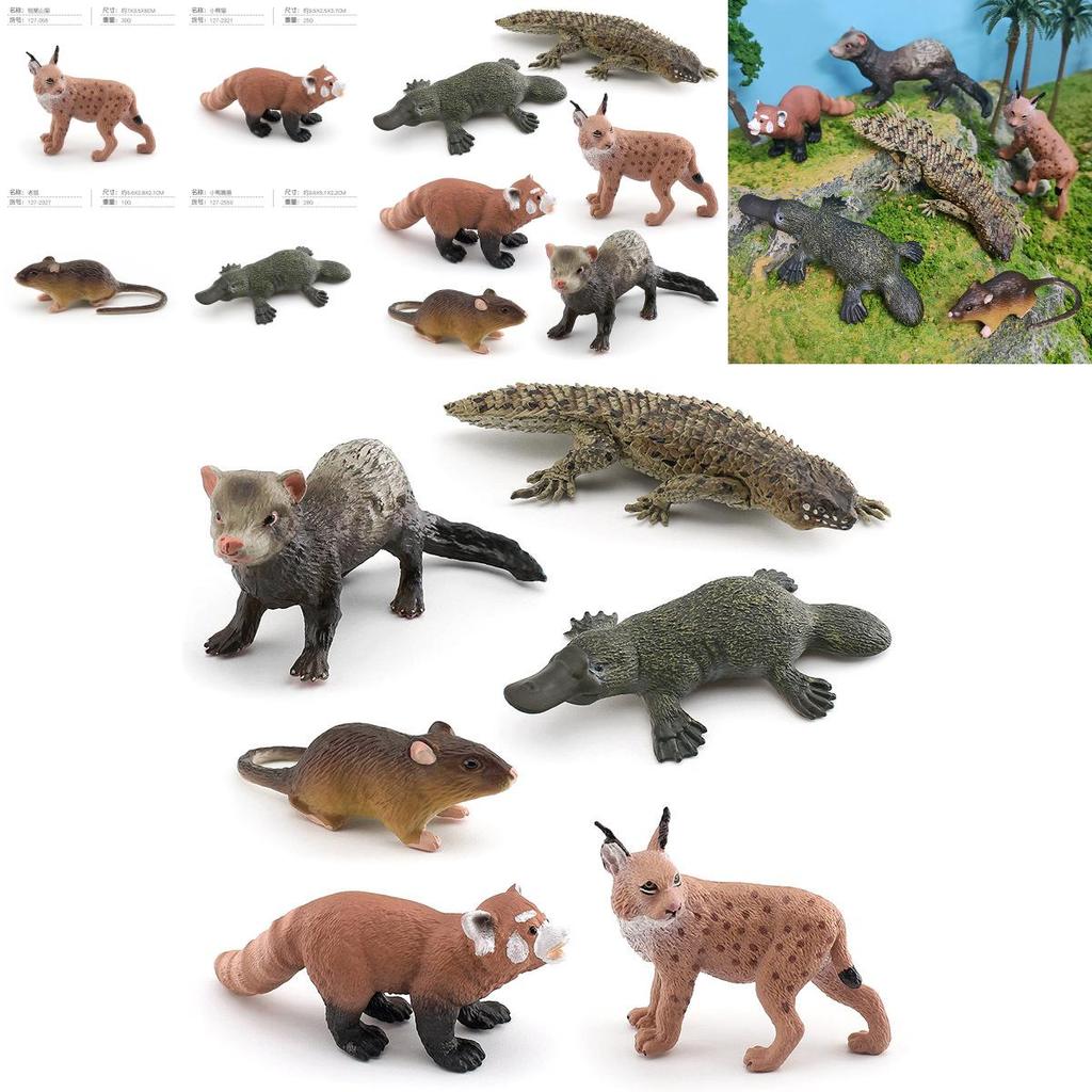 Realistic Plastic Short-tailed Bobcat Cute Red Panda Charming Platypus And Snowy Ferret Miniature Animal Figurines For Collectors And Decor