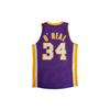 Mitchell & Ness Basketball Jersey Unisex Purple AJY4CP18186-LALPURP99SON