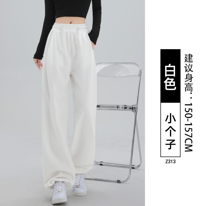 Gray Sweatpants Women's Spring and Autumn Loose Casual Wide-leg Pants New Autumn Small Leggings Sweatpants