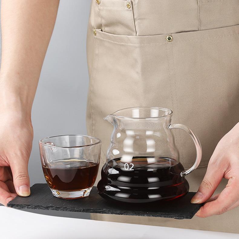 Heat-Resistant Borosilicate Glass Coffee Pot with Drip Filter for Cold Brew