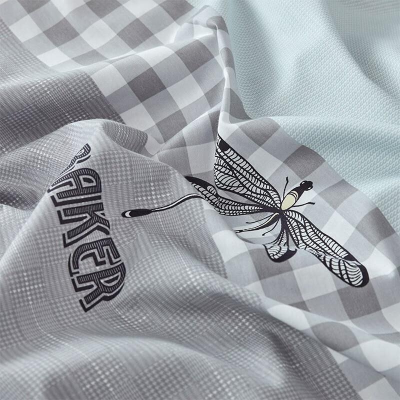 Ensemble de literie 4 pièces imprimé Louis Kellog Raphael