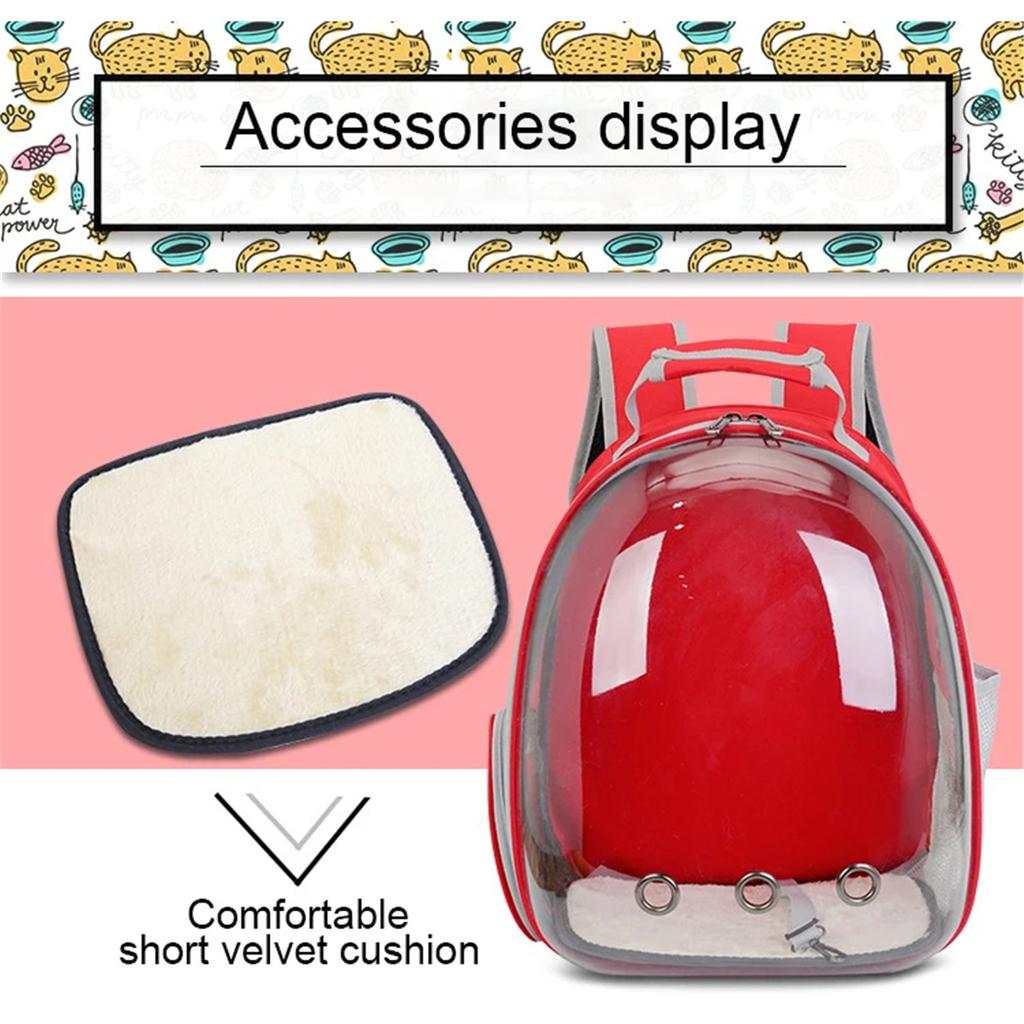Cat Bag Breathable Portable Pet Carrier Bag Outdoor Travel Backpack For Cat And Dog Transparent Space Pet Backpack