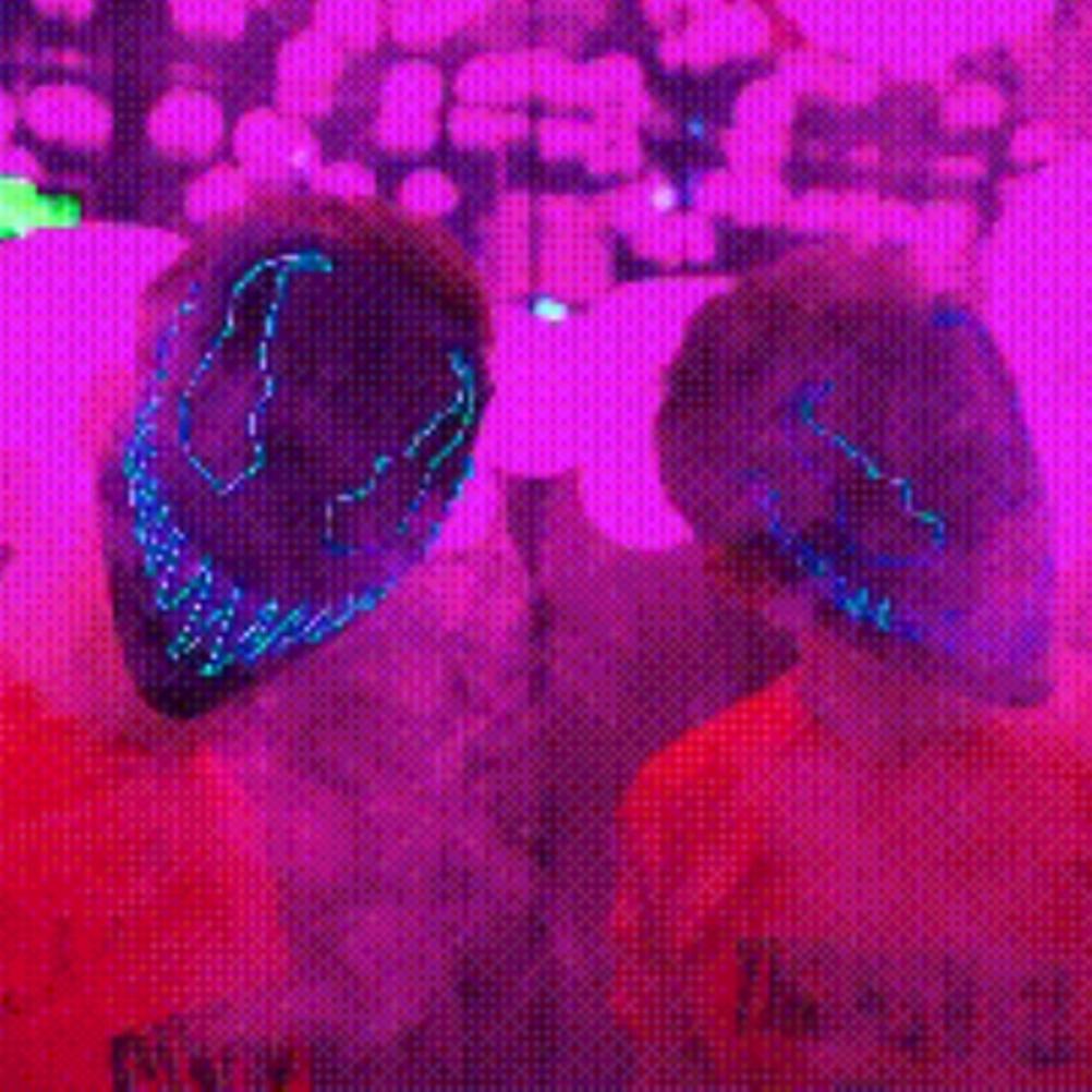 Halloween LED Gesichtsbedeckung Gruselige Leuchtende Gesichtsbedeckung Halloween Cosplay Maske für Party Karneval