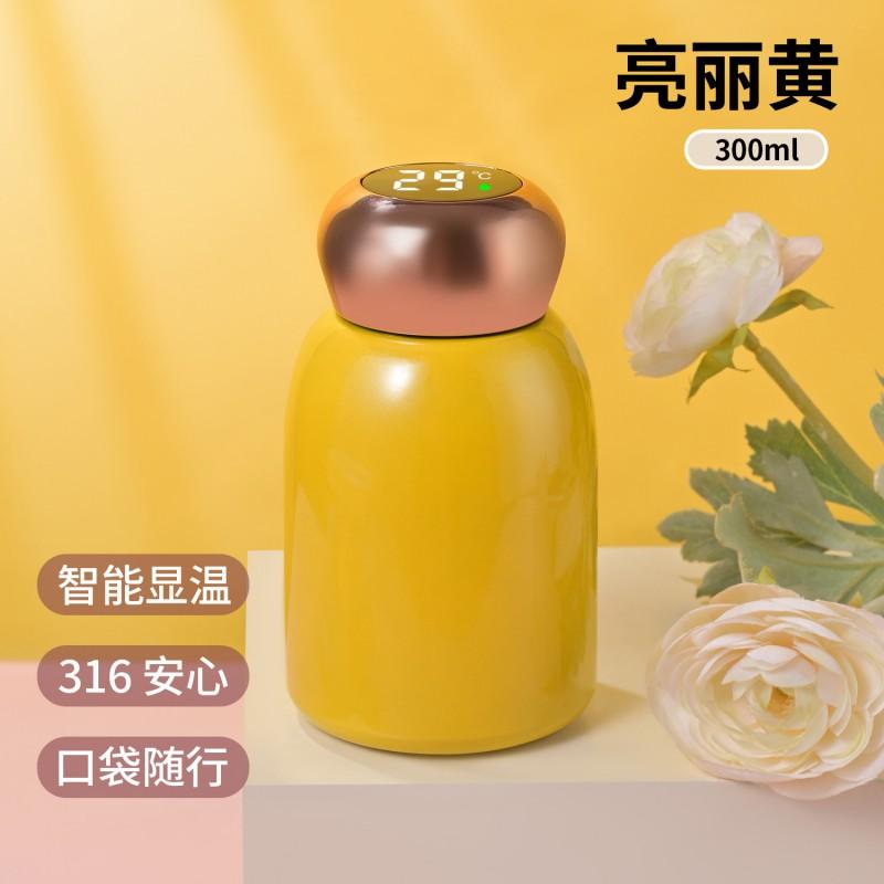 Stainless Steel Vacuum Insulated Travel Mug 300ml Portable Mini Cup Women Men Kids Office Outdoor
