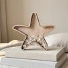 Beach Themed Creative Starfish-Shaped Display Box Wooden Translucent Storage Box Multi-Function Decoration Star Piggy Bank Gift