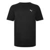 Mens Deluxe Regular T-Shirt