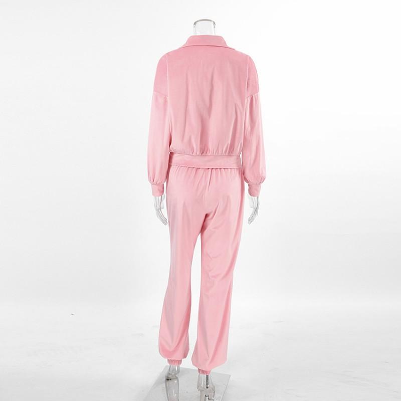 Womens Fall Winter Street Style 2-Piece Tracksuit Set Pink Polo Neck Top Velvet Pants