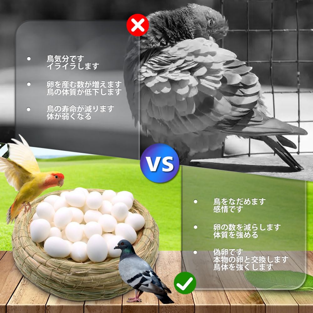 Fake Plastic Bird Easter Fake Chicken Parakeet Dummy Small Bird Breeding Budgie Egg Food DIY Gardening Set of 6 Eggs, Eggs, Toys, Eggs, Eggs, Toys,