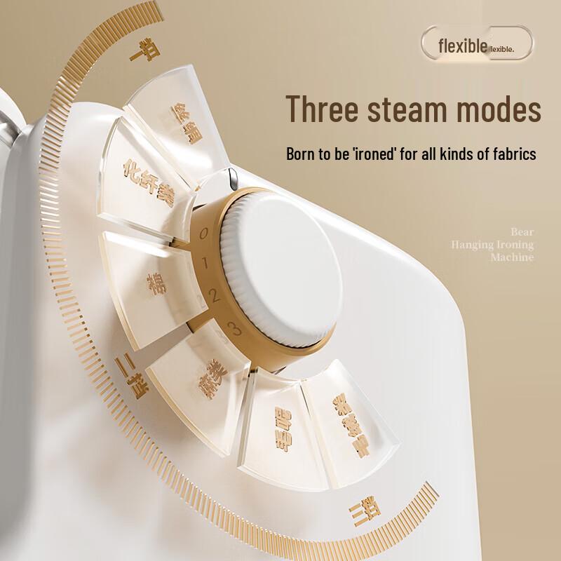 Bear Portable Garment Steamer & Electric Iron