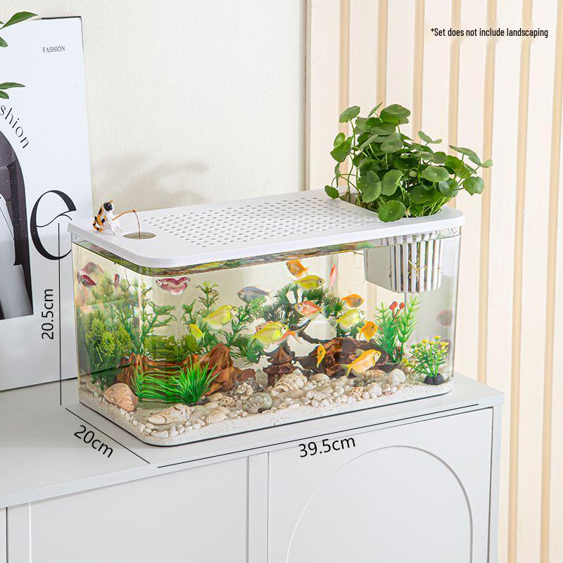 Transparent Plastic Desktop Aquarium: Small Ecological Fish Tank for Goldfish, Ideal for Living Room or Table Landscaping