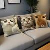 Cute Funny Cat Meme Abstract Kitten Cushion Cover Soft Pillow Case for Sofa Living Room Home Office Decor Protective Covers