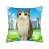 Funny Meowl I Can't Take it Anymore Cat Owl Pillowcase Double-sided Printing Cushion Cover Gift  Throw Pillow Case Cover