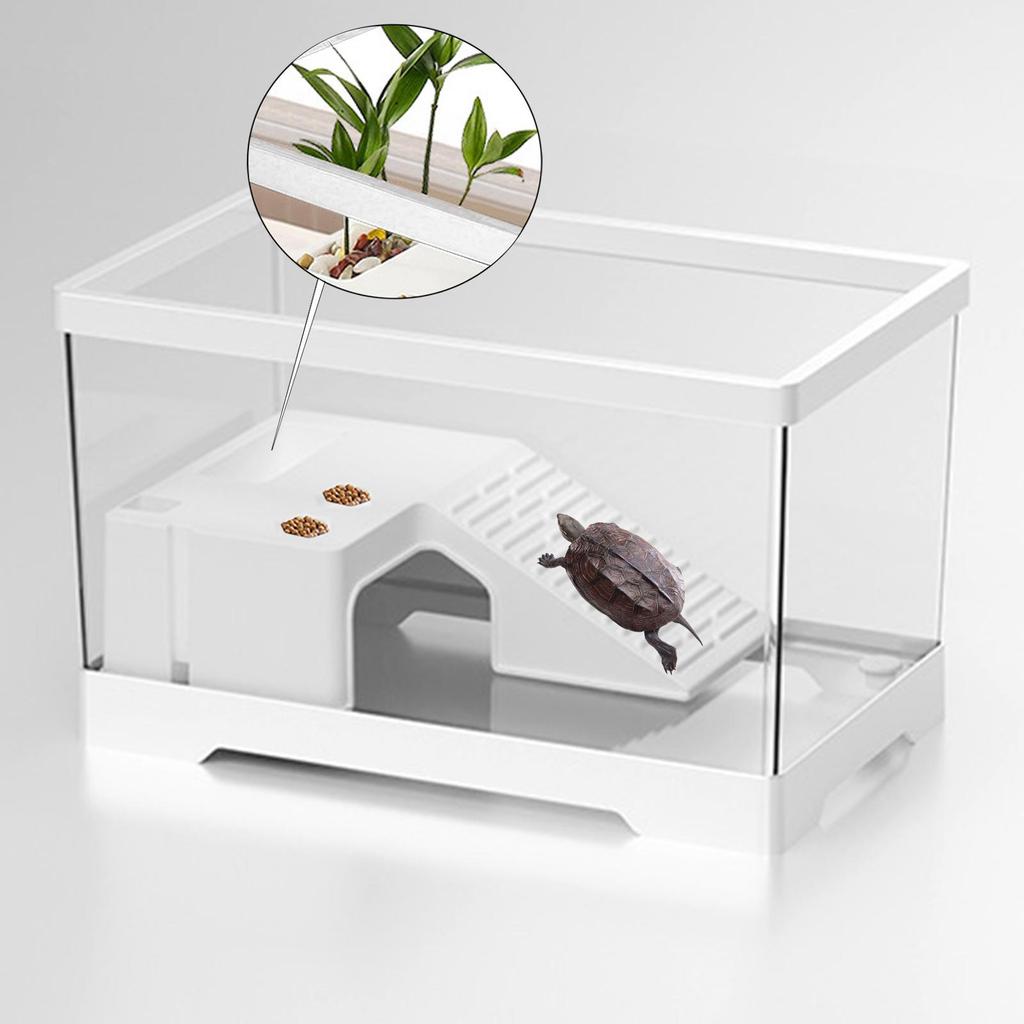 Turtle Tank Multifunctional Area Box Amphibians Turtle Habitat Indoor Decor