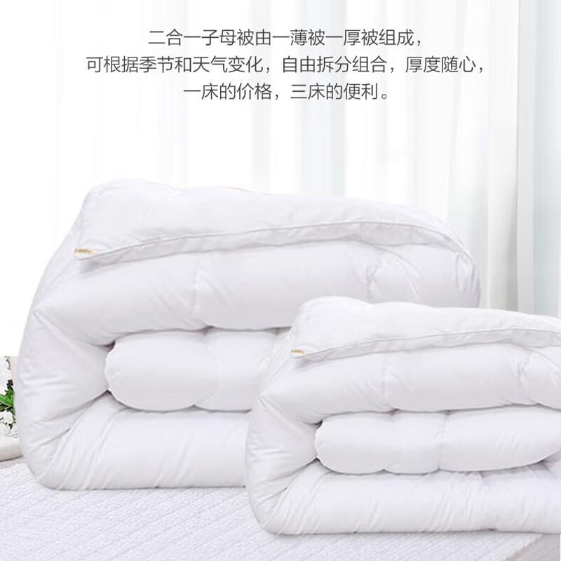 

Fuanna Brushed Seven-Hole Fiber All-Season Duvet Insert