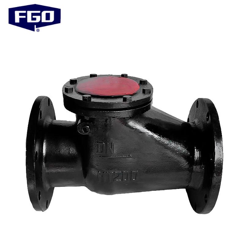 FGO Cast Iron Swing Check Valve