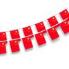 Chinese National Flag String Banner Garland