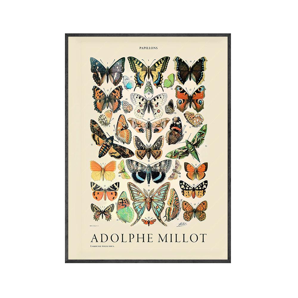 

Скандинавский винтажный рисунок бабочки настенный постер современный стиль холст печать картина детская комната искусство проход гостиная спальня украшение 21x30cm No Framed