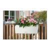 LECHUZA Jardiniere Balconera Cottage 50 - Blanc - 44x33 cm - Avec réserve d'eau