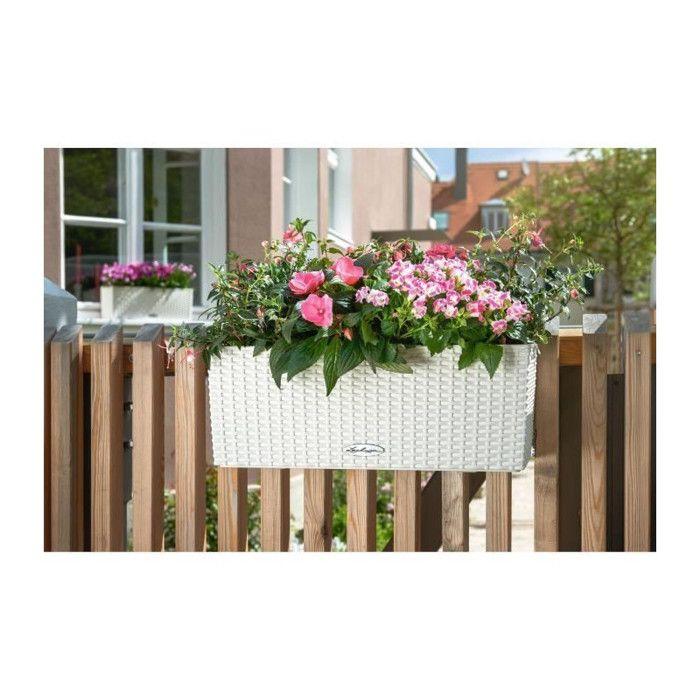 LECHUZA Jardiniere Balconera Cottage 50 - Blanc - 44x33 cm - Avec réserve d'eau