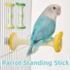 Creative Parrot Standing Stick Sturdy Fruit Core Shaped Bird Paw Grinding Toy Grinding Claws Wear Resistant