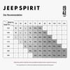 JEEP SPIRIT Men's Pure Cotton Long-Sleeve Crewneck T-Shirt