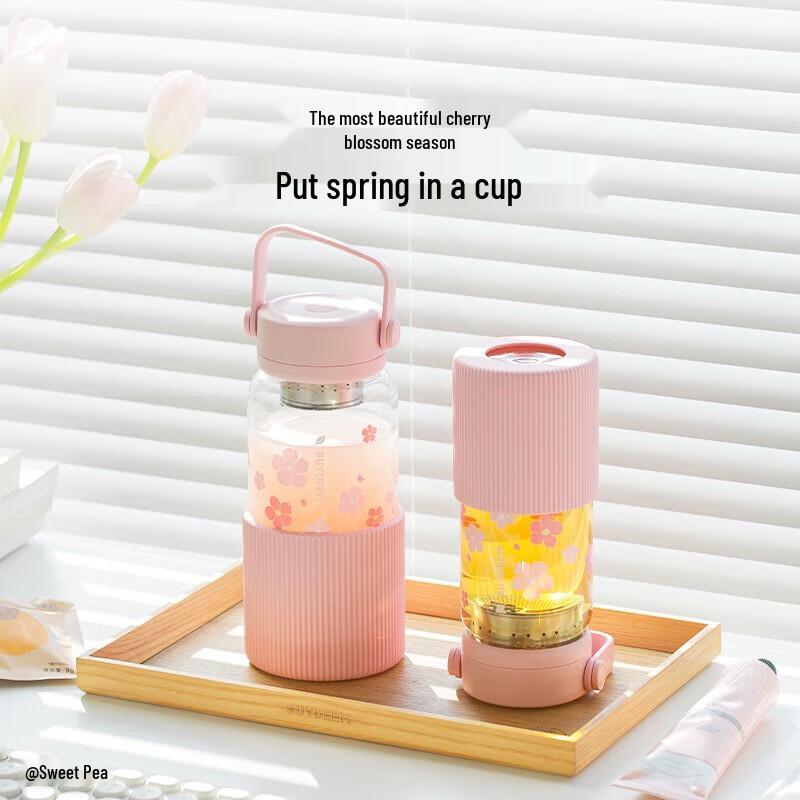 Buydeem Portable Tea Infuser Glass Mug