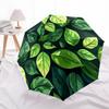1pc Leaf Nature Automatic Open/Close Umbrella with One Touch Button,, Windproof Design   Lightweight Portable Umbrella for Women & Men6137