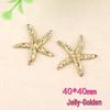 Starfish Resin Accessory Kit: Phone Case, Hair Clip, DIY Ocean Clog Patches