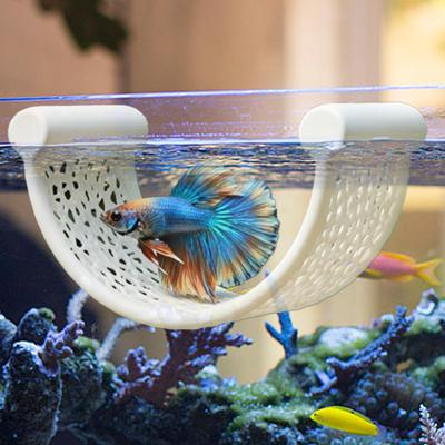 Bettafisch Hängematte Dekorativer Hohlförmiger U-förmiger Aquarium-Sitzplatz Schwebende Hängematte Schwebende Aquarium-Ruheplattformen Fischunterschlupf
