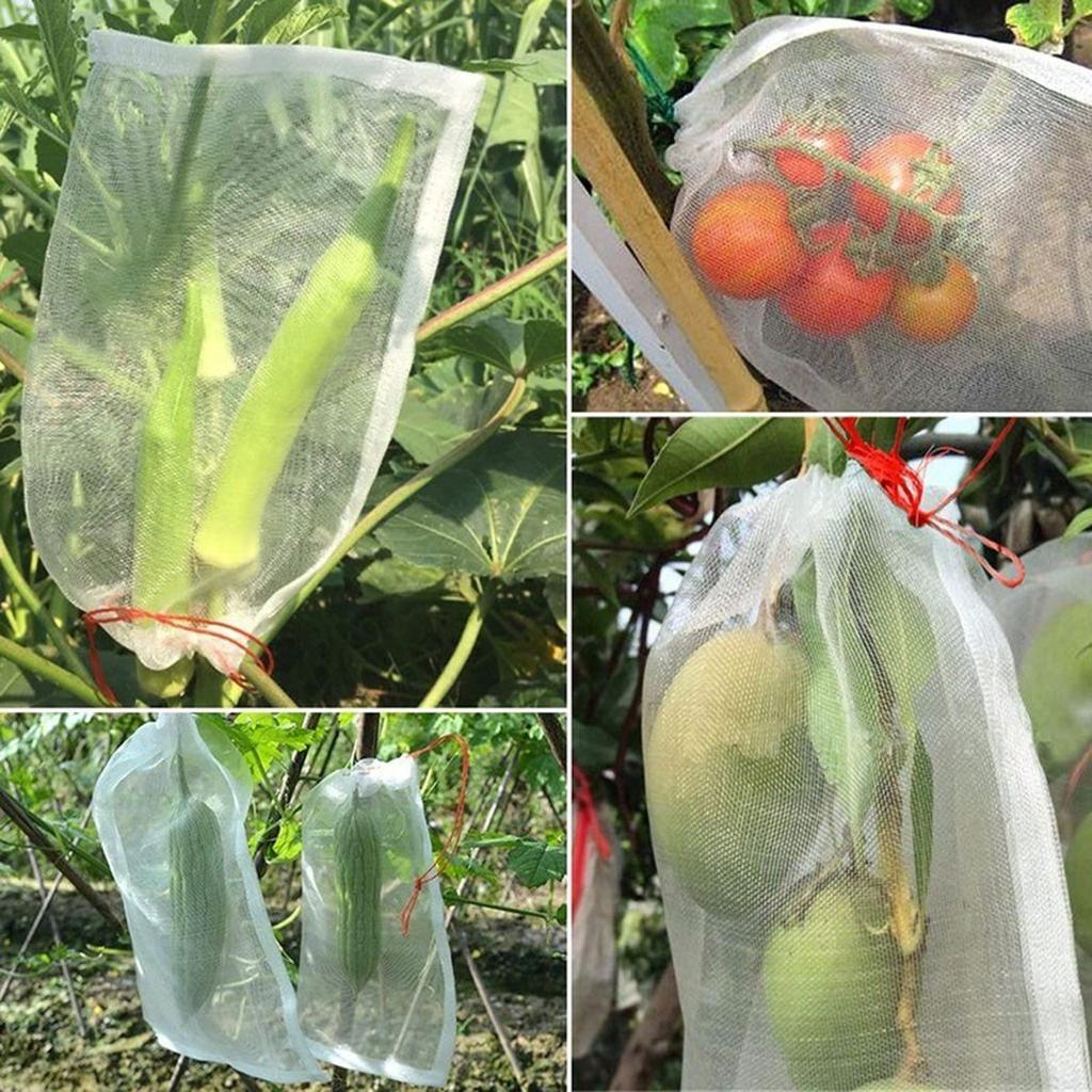 Fruchtschutznetzbeutel Gartenpflanze Insektenschutz Fliegenvogel Affenhörnchen Landwirtschaftlicher Obstgarten Schädlingsbekämpfung Kordelzug Pflanzgefäß