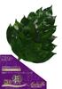 A&K Sakaki Kiwami, a Budget-friendly, Large, Extra-thick Sakaki Tree. Made with Fresh, Domestically Grown, Natural Sakaki Leaves. Heat-resistant,