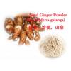 100% Pure Guangdong Sand Ginger Powder Strong Flavor Kaempferia Galanga