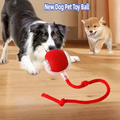 Hot Selling Electric Dog Ball Toys For Cats Toys Interactive Accessories for Cats Dogs Pet Products and Supplies Toy Things Home
