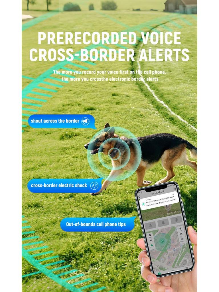 C10 Smart Pet Collar: Multifunctional Camera, Health Monitor, Dog Trainer & Locator