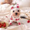 Pet Spring Strawberry Base Vest Cat and Puppy Home Base Shirt Strawberry Printed T-shirt Pet Clothes Cute Small Dog