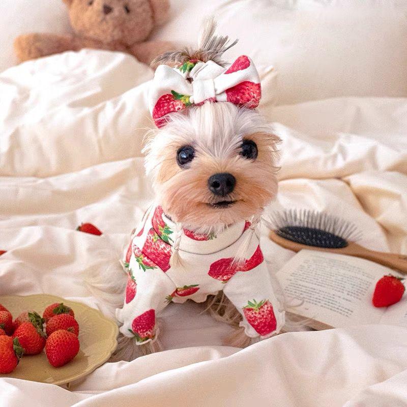 Pet Spring Strawberry Base Vest Cat and Puppy Home Base Shirt Strawberry Printed T-shirt Pet Clothes Cute Small Dog