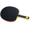 DHS H1002 1-Star Table Tennis Bat Set for Beginners