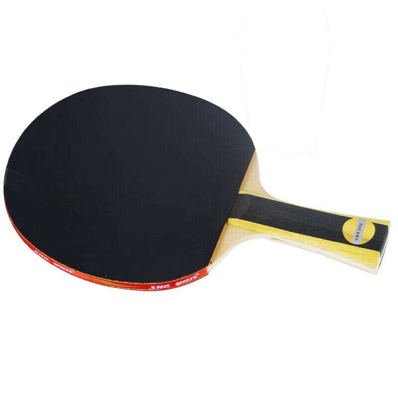 DHS H1002 1-Star Table Tennis Bat Set for Beginners