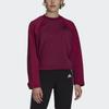 Adidas Z.N.E.Cold.Rdy Sweatshirt Women's Purple FS2384