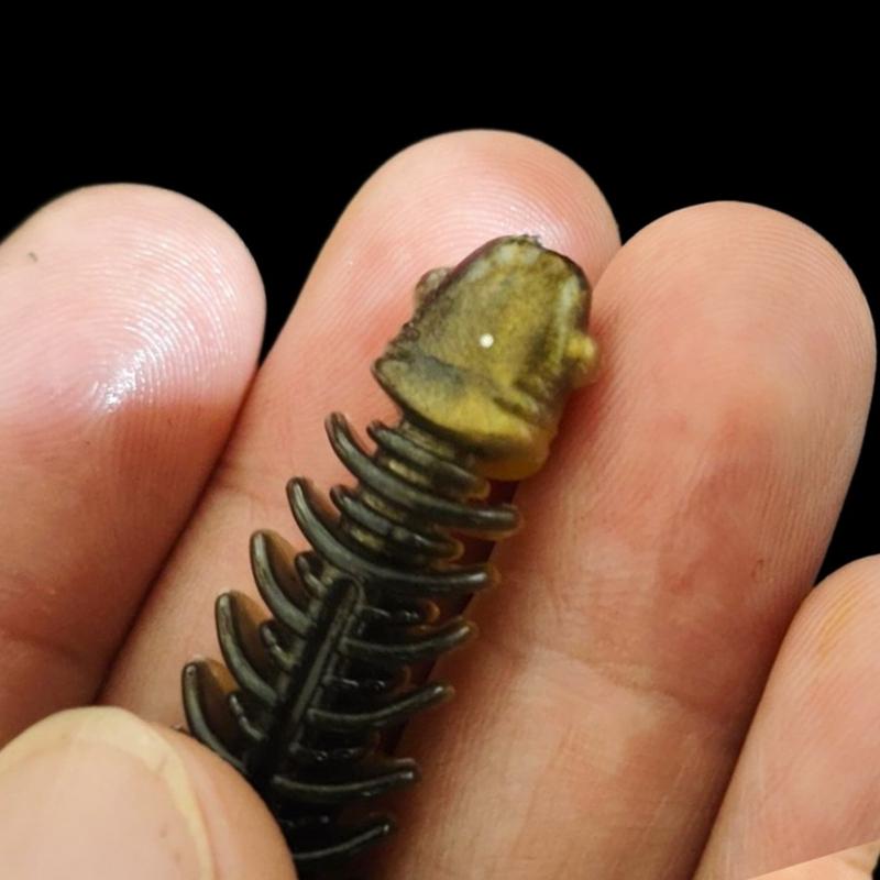 Artificial Soft Lures Worm Baits Wobbler  T Tail Soft Baits Paddle Tail Swimbaits Fishing Tackle Lures Enduring