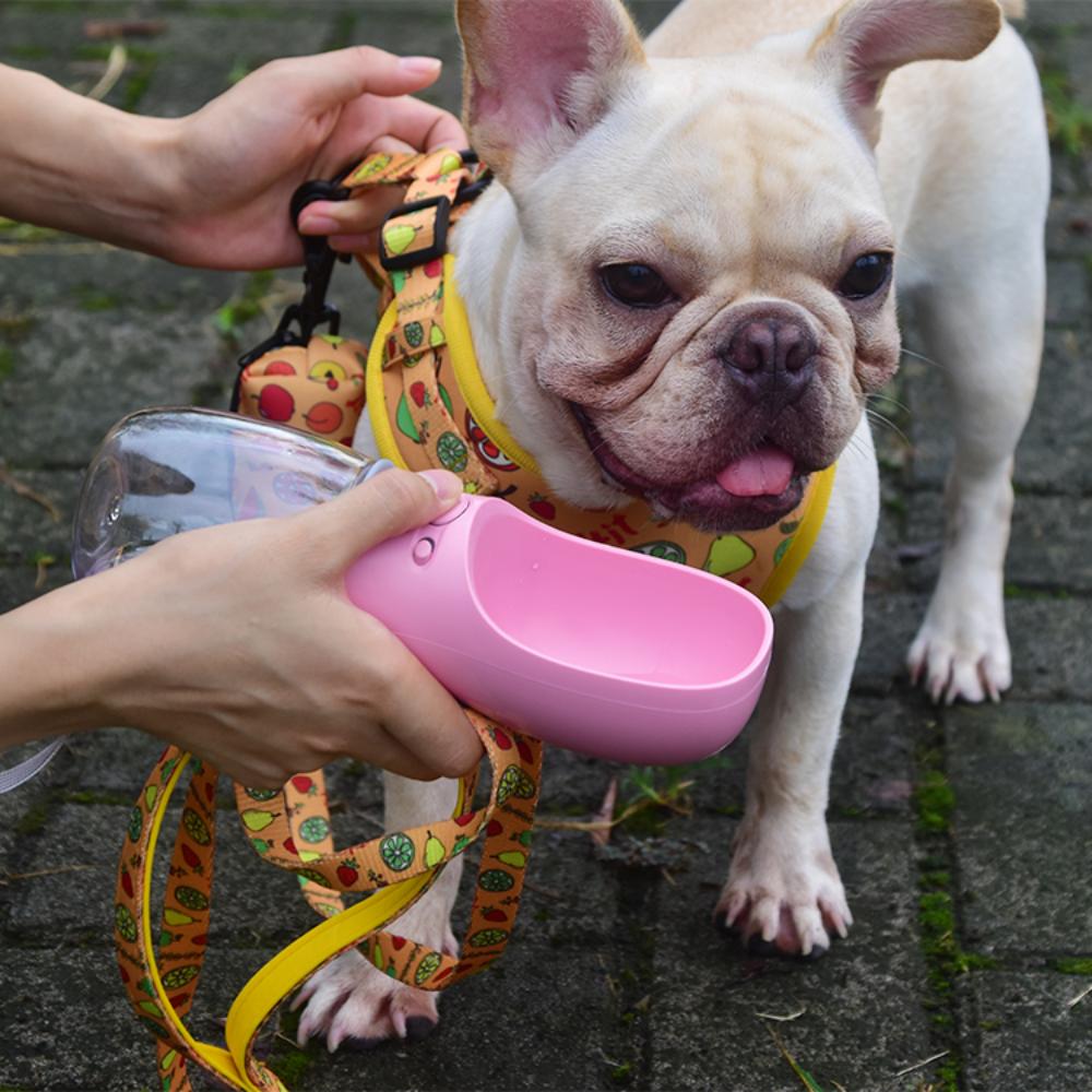 2023 Outdoor Leakproof Portable Puppy Pet Travel Water Bottle for Dogs