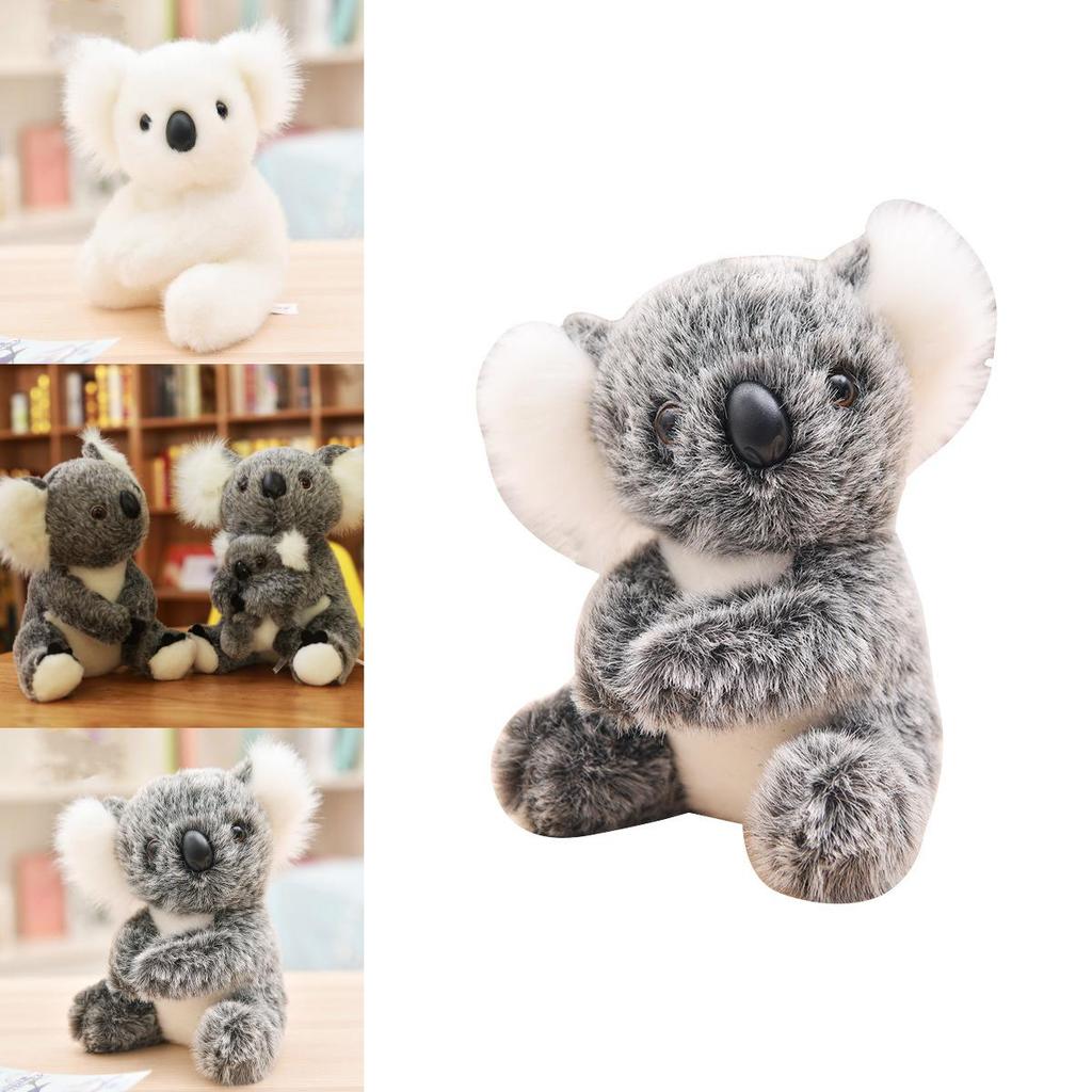 Adorabili Peluche di Koala con Bambino Seduti