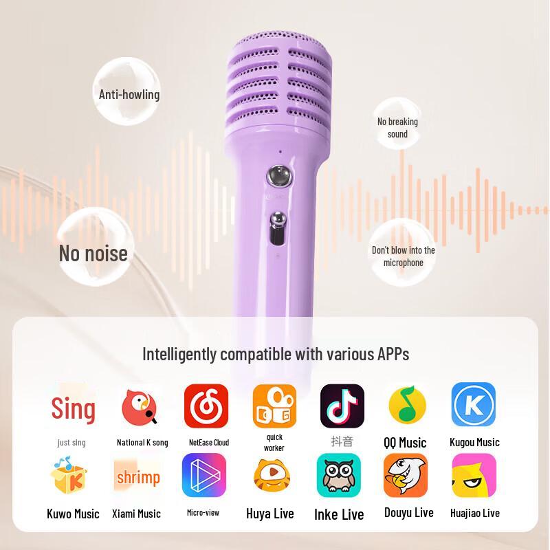 Divoom SongBird-SE Portable Karaoke Bluetooth Speaker Set CN Plug (adapter Included)