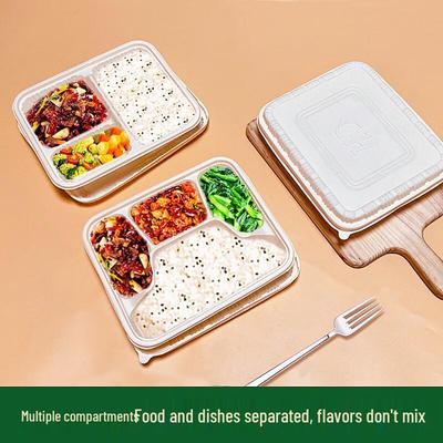 Biodegradable 5-Compartment Meal Prep Container
