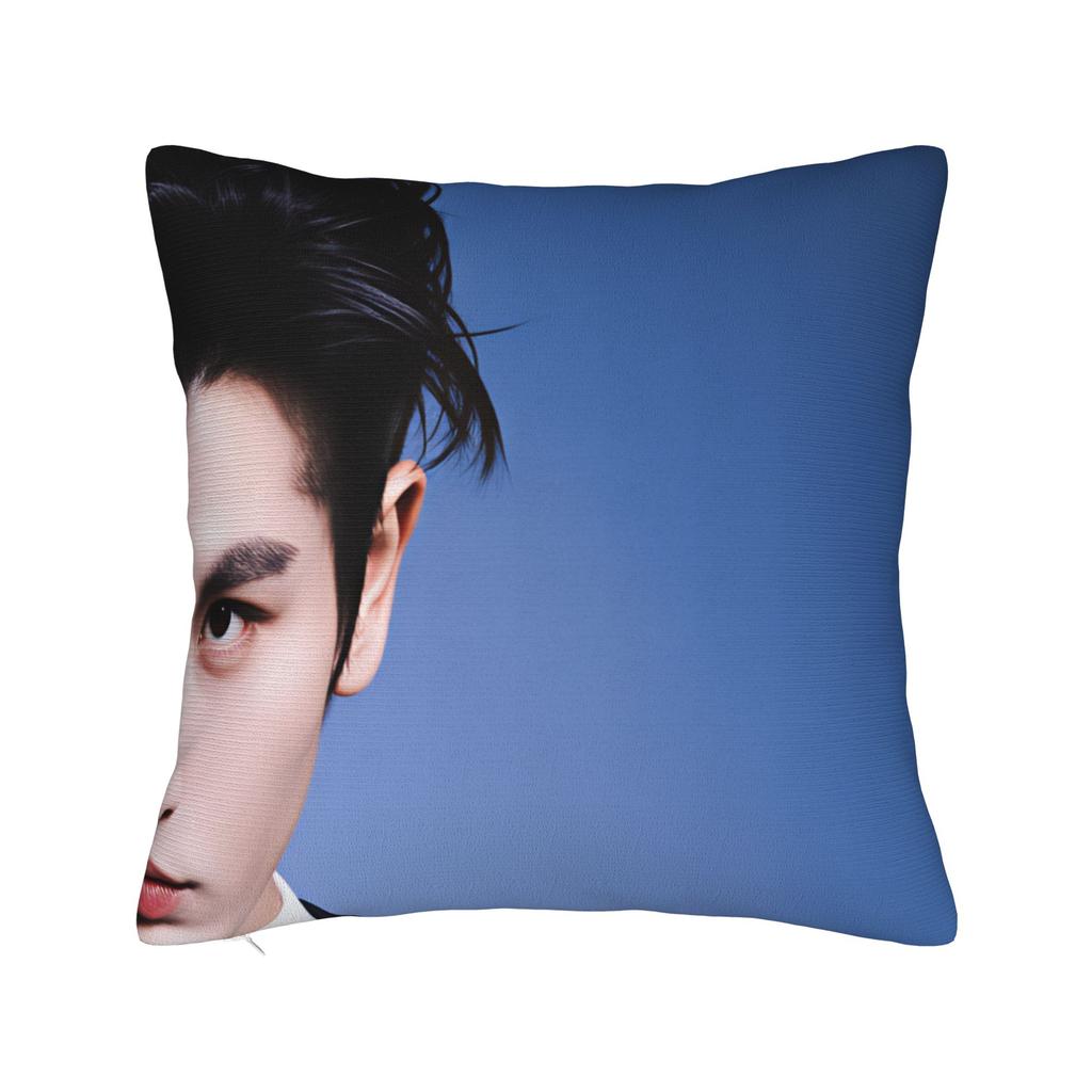Zhang Linghe Pillow Case  Soft Pillow Cover For Living Room Sofa Retro Trendy Cushion Cover